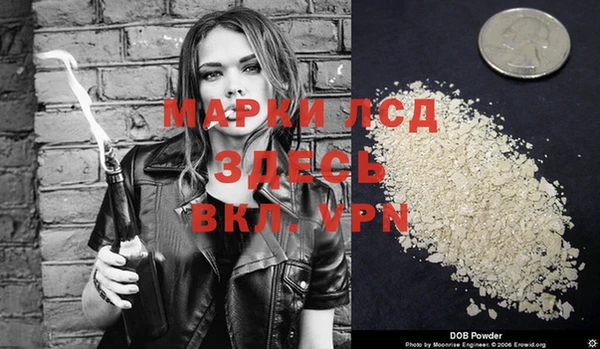 твердый Магас