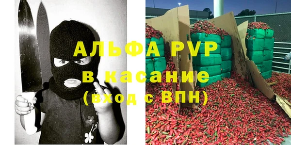 твердый Магас