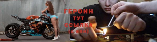 твердый Магас