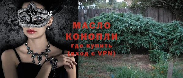 твердый Магас