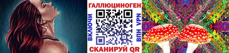 Купить где  Нефтеюганск  Галлюциногенные грибы Psilocybine cubensis